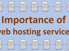 Importance of web hosting services in your business