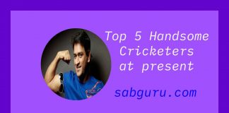 Top 5 Handsome Cricketers at present