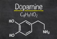 All you need to know about Dopamine - Unveiling Its Wonders and Impact on Human Behavior