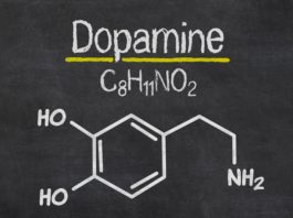 All you need to know about Dopamine - Unveiling Its Wonders and Impact on Human Behavior