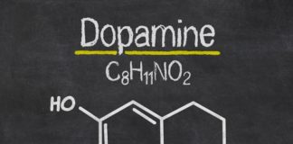 All you need to know about Dopamine - Unveiling Its Wonders and Impact on Human Behavior