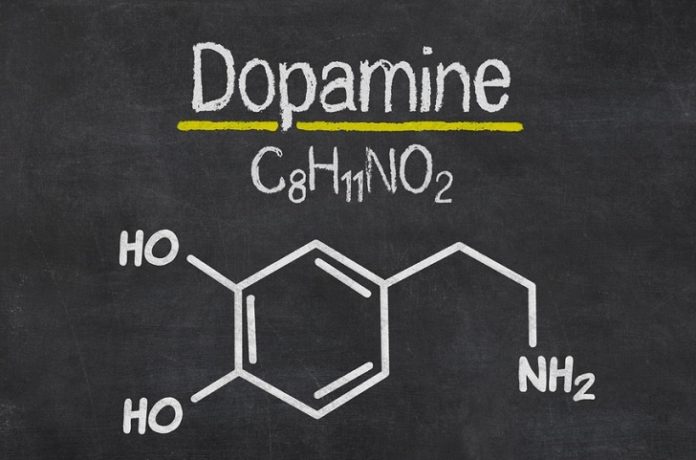 All you need to know about Dopamine - Unveiling Its Wonders and Impact on Human Behavior