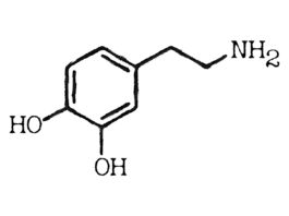 The Role of Dopamine: Understanding the Feel-Good Hormone