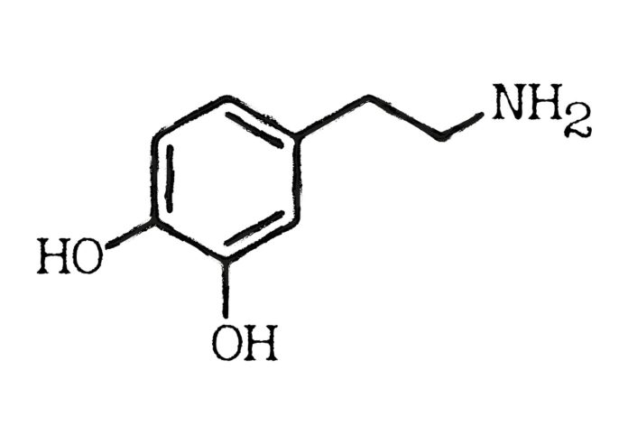 The Role of Dopamine: Understanding the Feel-Good Hormone