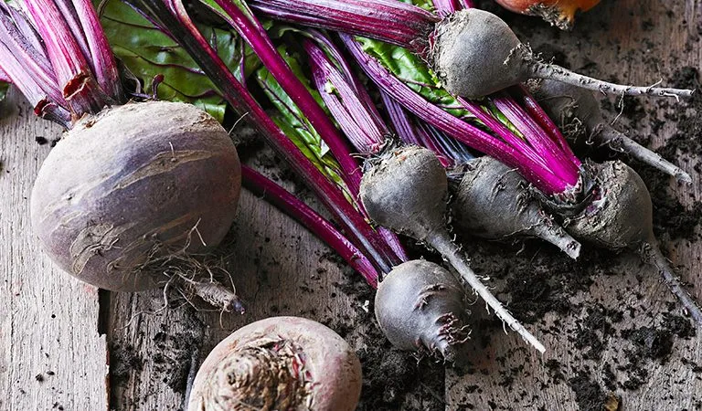 High Fiber Indian foods - Beetroot