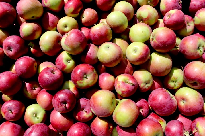 High fiber indian fruits