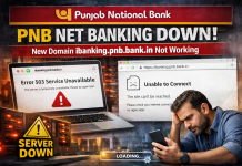 PNB Net Banking Down: Customers Face Login Issues After Shift to New Domain Customers Face Login Issues After Shift to New Domain