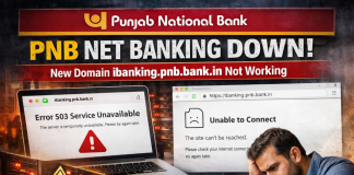 Customers Face Login Issues After Shift to New Domain