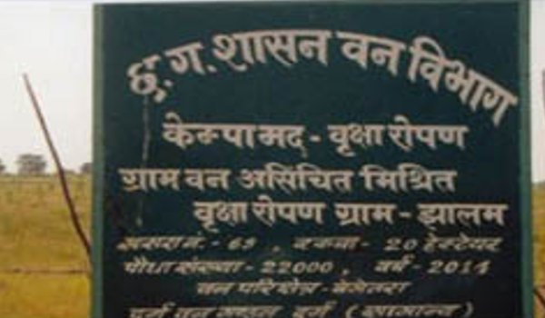 Neem, Arjun Amla Medicinal Trees planted in Chandigarh