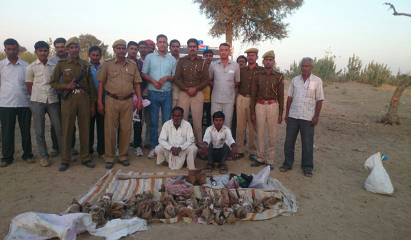 बाडमेर : चोहटन पुलिस ने बरामद की चिंकारा खालें और मांस बाडमेर : चोहटन पुलिस ने बरामद की चिंकारा खालें और मांस