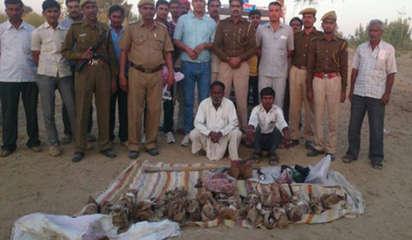 22 हिरणों की खालें, दस किलो चिंकारा का मांस तथा हिरण के सींग बरामद