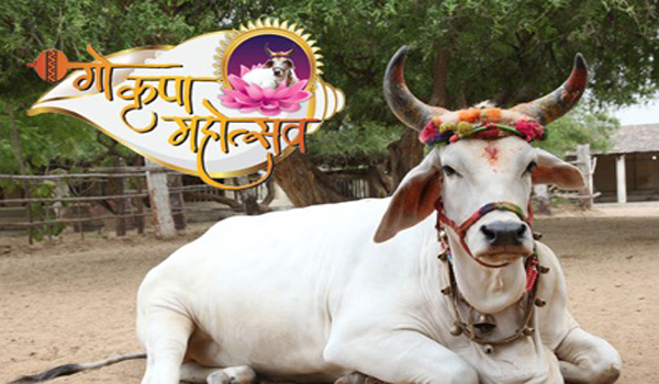 विश्व में कभी नहीं देखा होगा ऐसा विवाह विश्व में कभी नहीं देखा होगा ऐसा विवाह