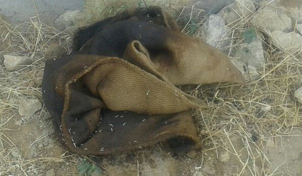 दस्तियाब हुआ मनोरा का दूसरा आरोपी, आकाश हत्याकांड के प्रयास जारी दस्तियाब हुआ मनोरा का दूसरा आरोपी, आकाश हत्याकांड के प्रयास जारी