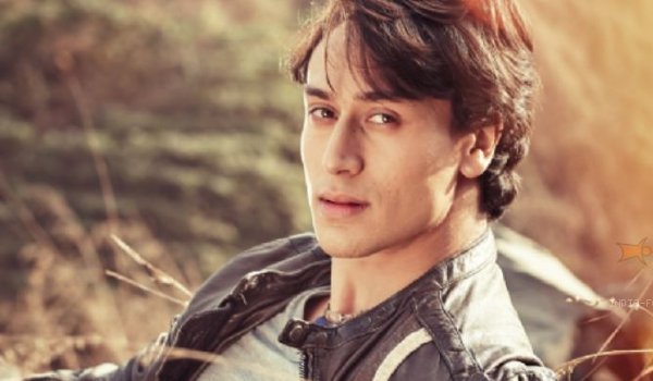 would like to work in Parinda remake : Tiger Shroff