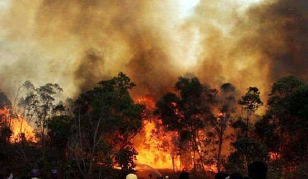 उत्तराखंड : जंगलों में लगी आग पर एमआई-17 हेलीकॉप्टर से पानी की बौछार उत्तराखंड : जंगलों में लगी आग पर एमआई-17 हेलीकॉप्टर से पानी की बौछार