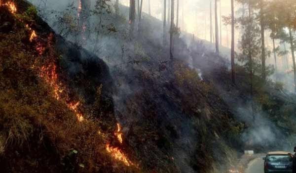 माउण्ट आबूः टाइगर पथ के जंगलों में 4 हैक्टेयर क्षेत्र में फैला दावानल