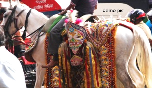 दलित समाज के दूल्हे को घोड़ी से उतारा, रुपयों की माला छीनी दलित समाज के दूल्हे को घोड़ी से उतारा, रुपयों की माला छीनी