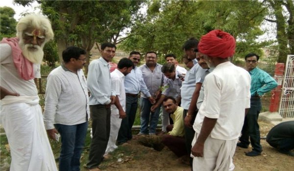 हरियालो जावाल का शुभारम्भ, लगाएंगे 200 पौधे हरियालो जावाल का शुभारम्भ, लगाएंगे 200 पौधे