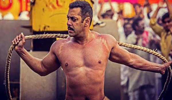 सुल्तान की जबरदस्त कमाई 500 करोड़ के पार सुल्तान की जबरदस्त कमाई 500 करोड़ के पार
