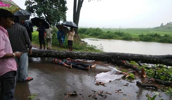 राखी की खुशी में मातम : पेड़ गिरने से पति-पत्नी और दो बच्चों की मौत