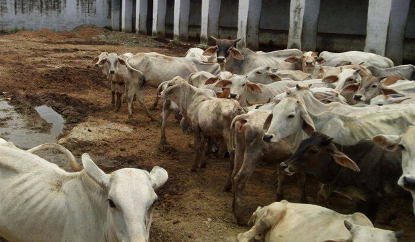 ऐसे बयान और आन्दोलन कि हर कोई चौंके के बिना नहीं रहा ऐसे बयान और आन्दोलन कि हर कोई चौंके के बिना नहीं रहा