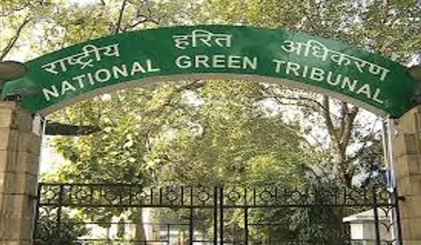 एनजीटी में डीजल गाड़ियों पर बैन की सुनवाई 7 सितंबर तक स्थगित एनजीटी में डीजल गाड़ियों पर बैन की सुनवाई 7 सितंबर तक स्थगित