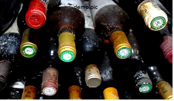 वीडियो कोच में अवैध शराब के 600 कार्टन बरामद, दो अरेस्ट