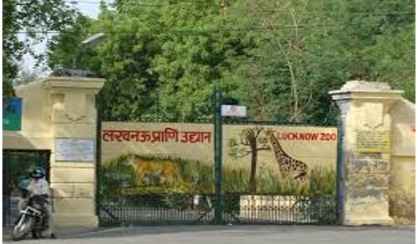लखनऊ चिड़ियाघर के सबसे बूढ़े भालू राजन की मौत