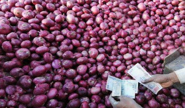 मध्यप्रदेश : खुली नीलामी में दो रुपए किलो बिकेंगे प्याज