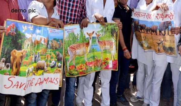 ब्लैकबग केस में सलमान खान के छूटने पर विश्नोई समाज का विरोध ब्लैकबग केस में सलमान खान के छूटने पर विश्नोई समाज का विरोध