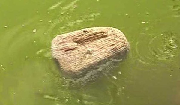 Haryana : 40 kg two stone Found floating in canal link
