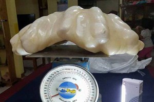 fisherman found a world largest pearl in palawan island 