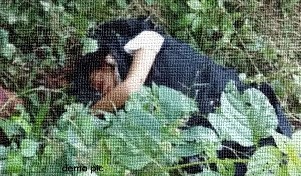 छत्तीसगढ के महासमुंद में कॉलेज छात्रा की गला रेतकर युवक ने की हत्या छत्तीसगढ के महासमुंद में कॉलेज छात्रा की गला रेतकर युवक ने की हत्या