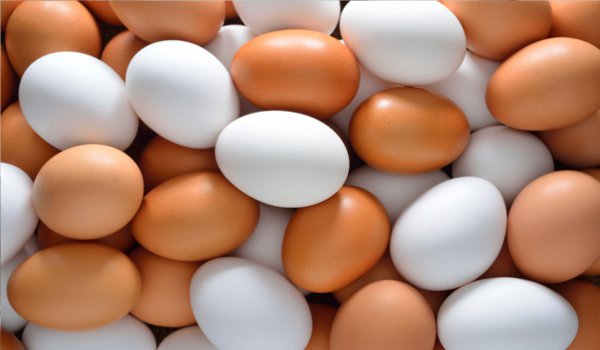 भारत में प्रति व्यक्ति प्रति वर्ष 180 की जगह सिर्फ 63 अंडे !
