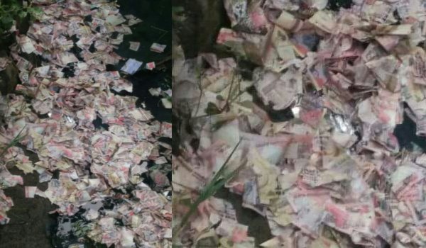 गुवाहाटी के दो नालों में मिले करोड़ों रुपए के फटे नोट