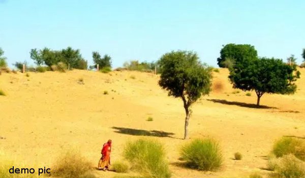 मरूस्थल को हरा-भरा करने के लिए राजस्थान सरकार की नई पहल