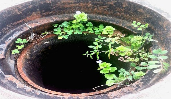 गटर में गिरने से 6 वर्षीय बच्चे की मौत, सनसनी गटर में गिरने से 6 वर्षीय बच्चे की मौत, सनसनी