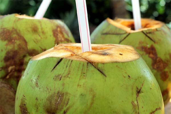 नारियल पानी मिटाएगा कई बीमारियां, जानिए कैसे