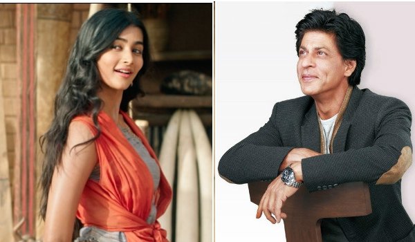 पूजा हेगड़े के साथ फिल्म में काम करना चाहते हैं शाहरुख खान
