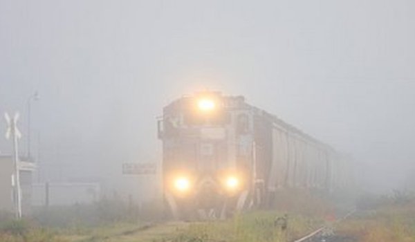 दिल्ली : कोहरे के बीच देरी से चल रहीं 34 ट्रेनें, उड़ानें ‌भी प्रभावित