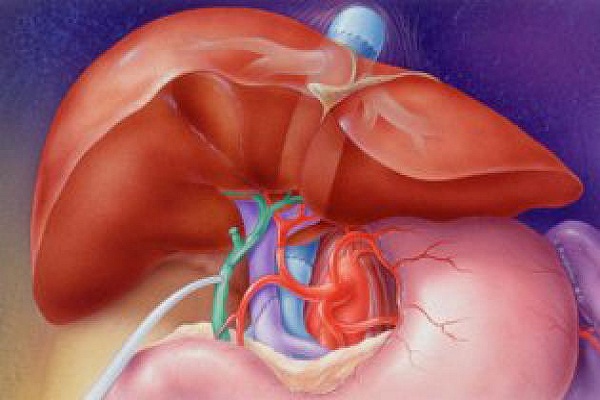 आपकी इन आदतों से हो सकता है LIVER फेल आपकी इन आदतों से हो सकता है LIVER फेल