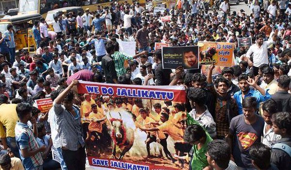 जलीकट्टू बैन मामला : सीएम का ऐलान, जल्द लाएंगे अध्यादेश जलीकट्टू बैन मामला : सीएम का ऐलान, जल्द लाएंगे अध्यादेश