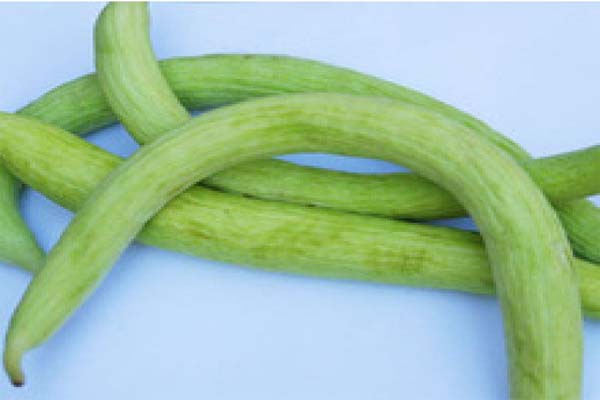 The advantages of eating green cucumber