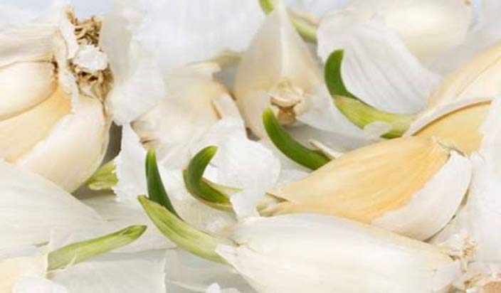 manny ways to peel of garlic