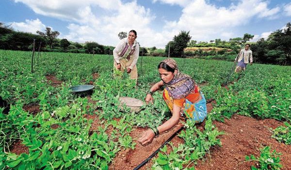 आम बजट में किसानों और ग्रामीणों को लुभाने की कई नई योजनाएं