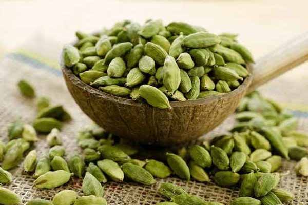 इलायची के इन फायदों के बारे में जान आप हो जाएंगे हैरान इलायची के इन फायदों के बारे में जान आप हो जाएंगे हैरान