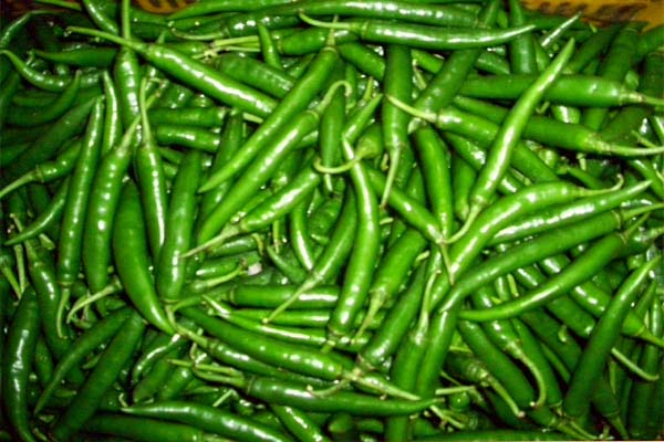 ये हैं तीखी हरी मिर्च के 6 शानदार फायदे