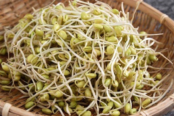 आप भी करते हैं स्प्राउट्स का सेवन तो हो जाये सावधान आप भी करते हैं स्प्राउट्स का सेवन तो हो जाये सावधान