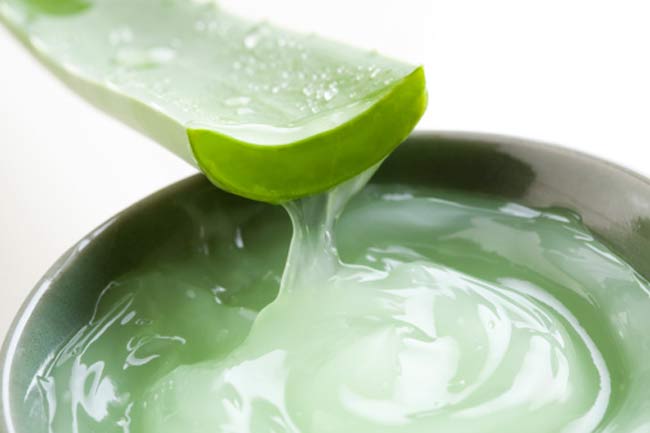 Aloe vera found thick and beautiful hair