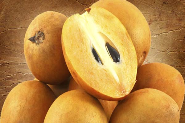 चीकू जड़ से ख़त्म करता हैं ये रोग चीकू जड़ से ख़त्म करता हैं ये रोग